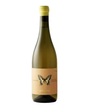 Pecorino Colli Aprutini Machaon Anfora Macerato